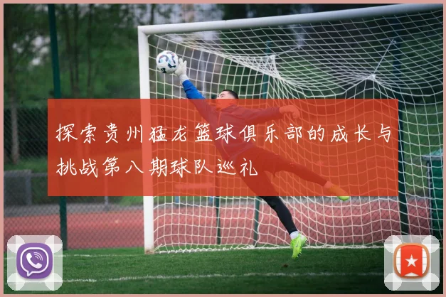 探索贵州猛龙篮球俱乐部的成长与挑战第八期球队巡礼