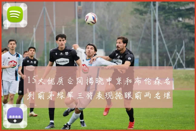 15大优质合同揭晓申京和布伦森名列前茅绿军三将表现抢眼前两名堪称传奇