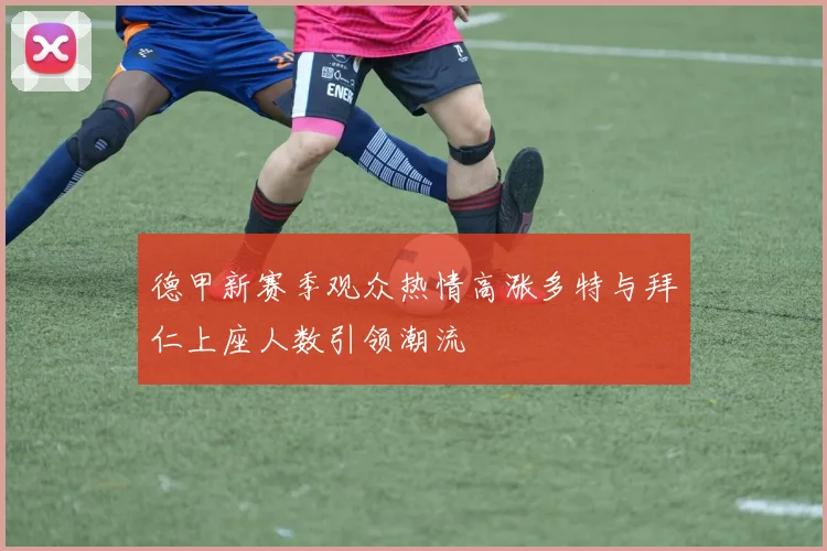 德甲新赛季观众热情高涨多特与拜仁上座人数引领潮流