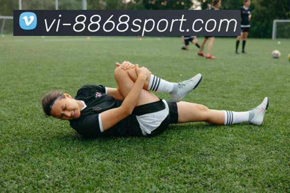 8868体育平台生态图